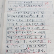 qq_pic_merged_1764721367871