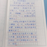 qq_pic_merged_1764721354234