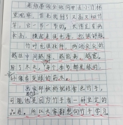 qq_pic_merged_1764721338725